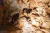 In der Petralona Tropfsteinhöhle