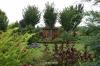 Botanical Garden