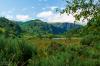 Glendalough