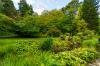 Muckross House