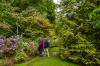 Muckross House