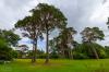 Muckross House