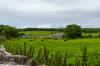 Irland