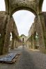 Boyle Abbey