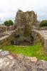 Trim Castle