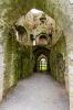 Trim Castle
