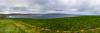 Mayo, Atlantikküste beim Downpatrick Head, nahe Ballycastle