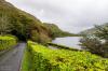 Blick auf den Pollacapall Lough vor der Kylemore Abbey