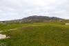 Am Dog's Bay