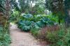 National Botanic Gardens