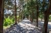 Allee zum Filerimos Cross