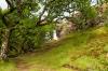 Eas Fors Waterfall