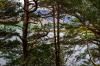 Loch Maree
