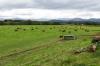 Strathspey Railway