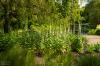 Royal Botanic Garden Edinburgh