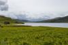Am Loch Assynt