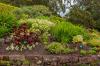 Inverewe Garden