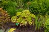 Inverewe Garden