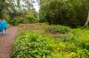 Inverewe Garden
