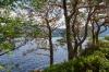 Am Loch Maree