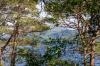Am Loch Maree