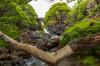 Eas Fors Waterfall, Isle of Mull