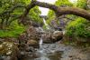 Eas Fors Waterfall, Isle of Mull