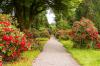 Inveraray Castle