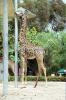 San Diego Zoo