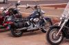 Harleys