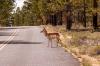 Bryce Canyon National Park