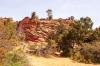 Zion National Park