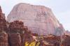 Zion National Park