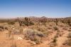 Joshua Tree National Park