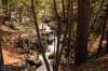 Yosemite National Park