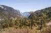 Yosemite National Park