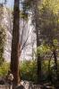 Yosemite National Park