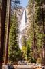 Yosemite National Park