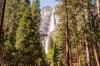 Yosemite National Park