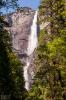 Yosemite National Park