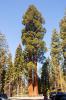 Sequoia and Kings Canyon National Park