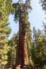 Sequoia and Kings Canyon National Park