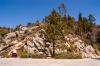 Sequoia and Kings Canyon National Park