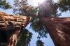 Sequoia and Kings Canyon National Park