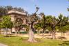 Golden Gate Park