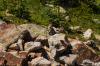 Continental Divide Trail