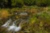 Cascade Springs