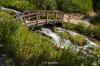 Cascade Springs