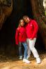 Redwood National Park