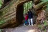 Redwood National Park